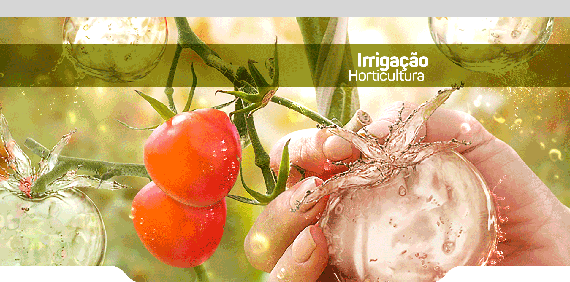 Horticultura