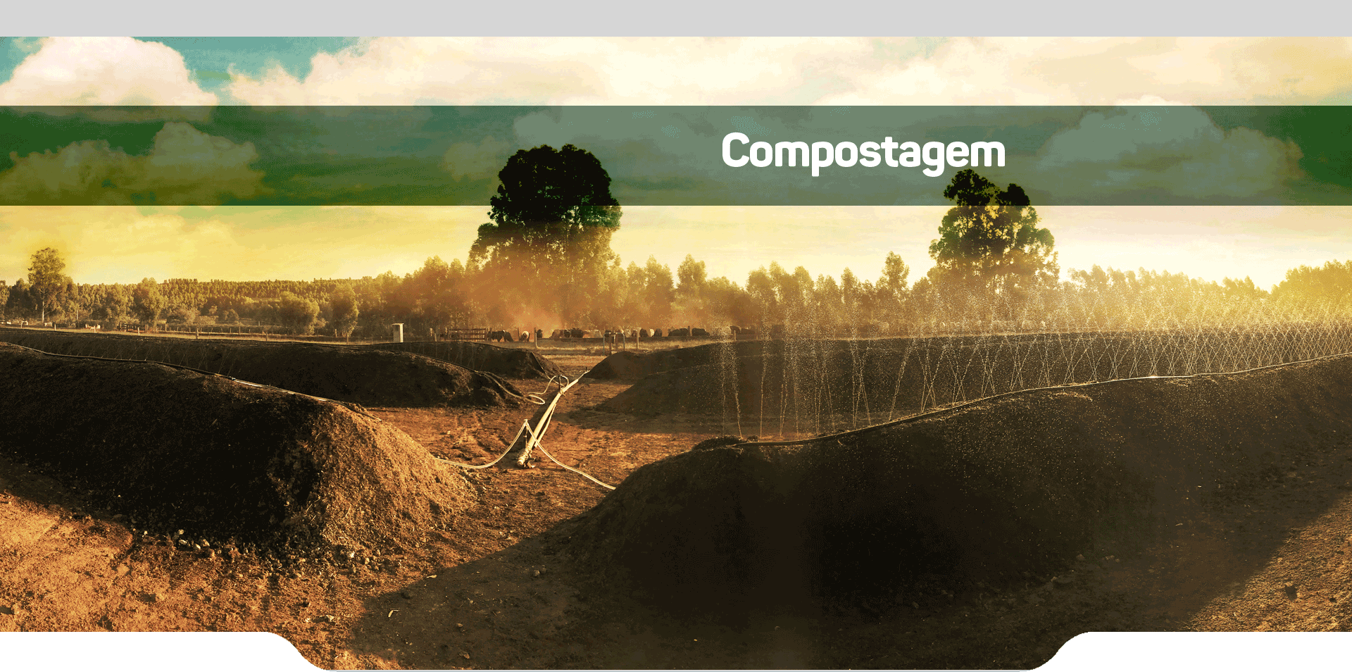 Compostagem